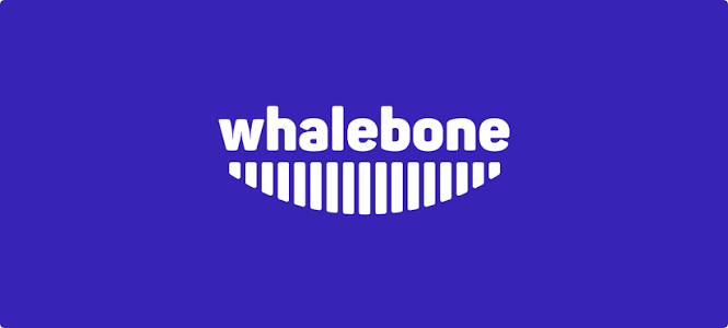 Whalebone